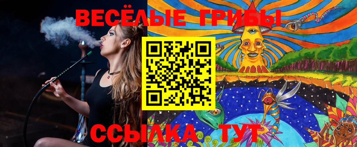 Унеча  купить наркоту  Вход с VPN  Галлюциногенные грибы MAGIC MUSHROOMS 