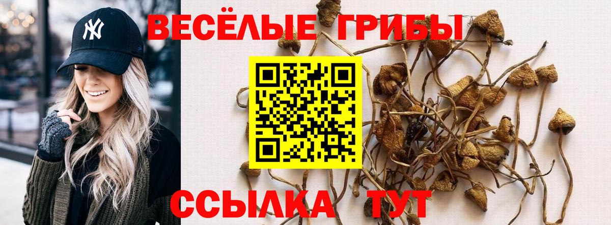 Псилоцибиновые грибы ЛСД Унеча